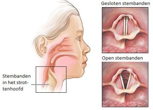 stemproblemen bij leerkrachten